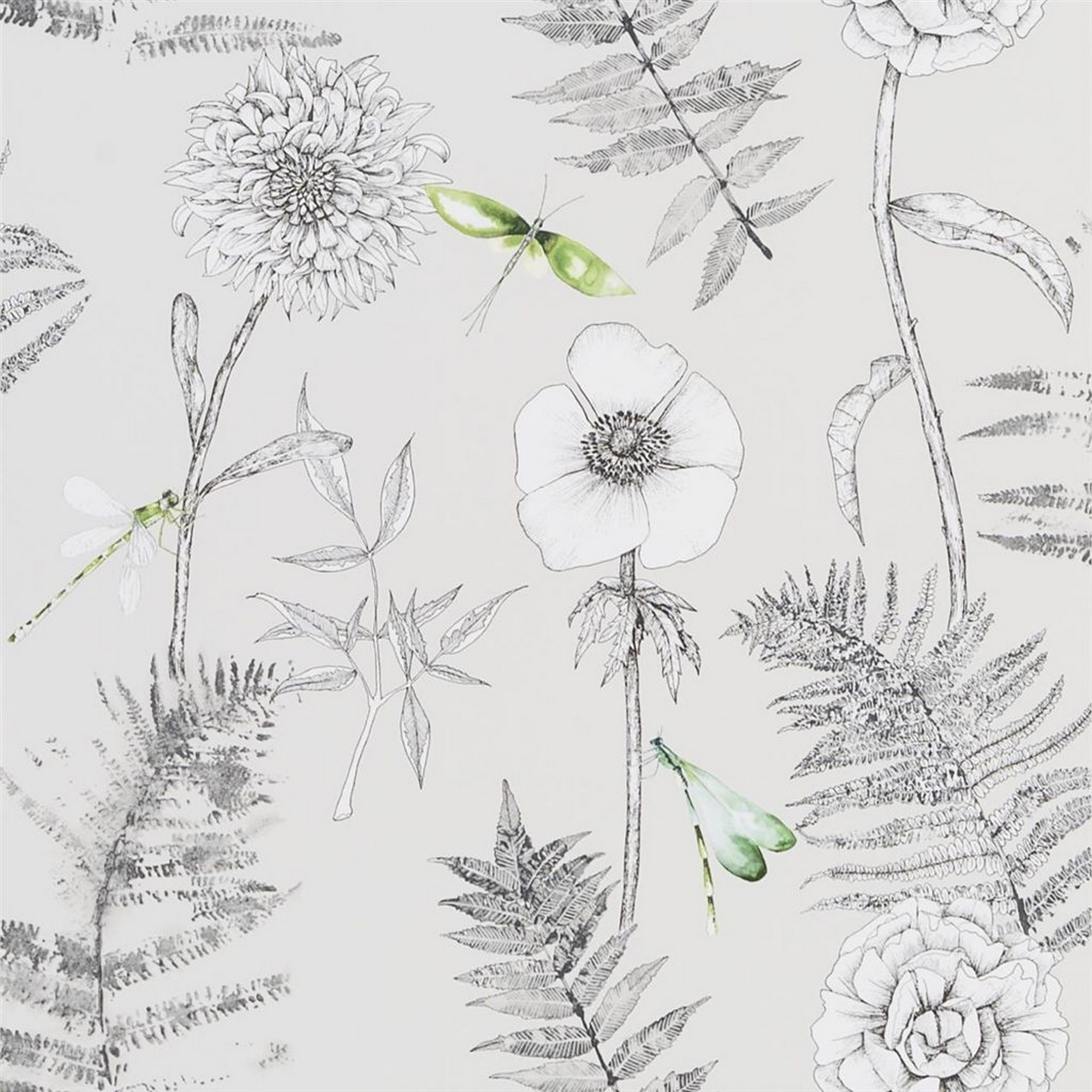 Acanthus Wallpaper Pdg1022 By Designers Guild In Graphite Multi